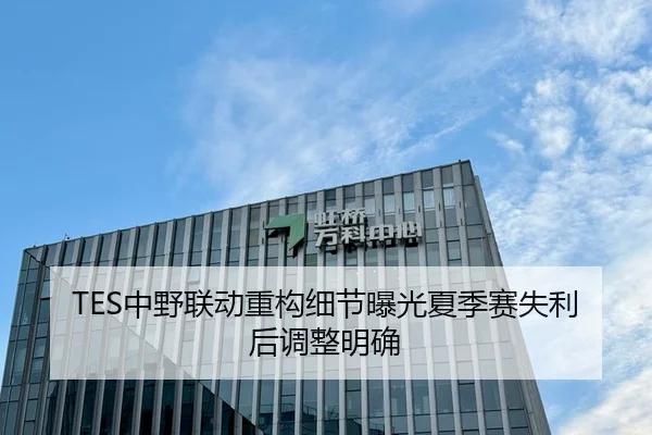TES中野联动重构细节曝光夏季赛失利后调整明确 | TianBo