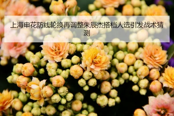 上海申花防线轮换再调整朱辰杰搭档人选引发战术猜测 | TianBo