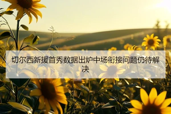 切尔西新援首秀数据出炉中场衔接问题仍待解决 - TianBo